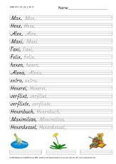 DSS_2S_Bu_x_Nr_01.pdf